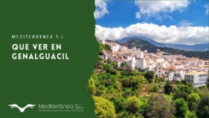 que ver en genalguacil